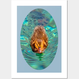 Duckling in the ripples Posters and Art